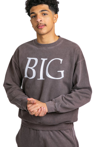 "A Big Heart" Printed Taupe Sweatshirt